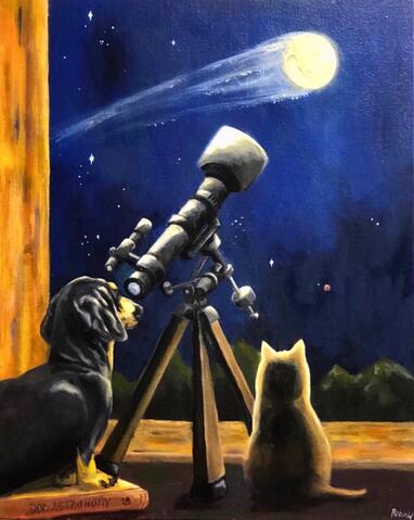 Halley’s Dachshund